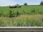 027-Amish country-New Philadelphia